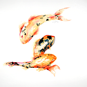 Mi Proyecto del curso: Técnicas experimentales de acuarela para principiantes . Watercolor Painting project by Rony Christian Hidalgo Lostaunau - 05.05.2020