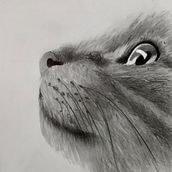Dibujo de Gato  . % Steven Arauz tarafından hazırlanan Kalem Çizimi projesi - 05.05.2020