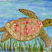 Modern Watercolor Techniques final A Turtle. Un proyecto de Pintura a la acuarela de Denia Phipps - 06.05.2020