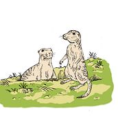 Perritos de la pradera. Desenho digital projeto de Kerstin García - 09.01.2019