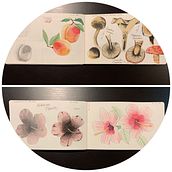 My Project in Illustration of a Nature Diary course. Watercolor Painting project by Tamara Prado Angulo - 05.07.2020