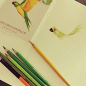 Birdie on a Box . % catalinag30gonzalez tarafından hazırlanan Kalem Çizimi projesi - 05.09.2020