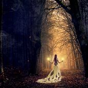 Forest . Fotografie, Fotografie de artă plastică și Compoziție fotografică de annydl71 - 05.07.2020