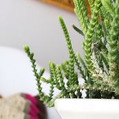 Mi Proyecto del curso: Fotografía profesional para Instagram Ein Projekt aus dem Bereich Fotografie für Instagram von Cristina Martinez - 07.05.2020