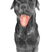 Labrador . Watercolor Painting project by Megg Oscco - 05.08.2020