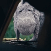 Christopher Robin Reel Ein Projekt aus dem Bereich Animation und 3-D-Animation von Luciano A. Muñoz Sessarego - 06.08.2018