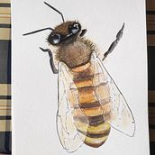 Abejas. Een project van Traditionele illustratie van marinamanresasanchez - 15.05.2020
