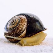 Mi Proyecto del curso: Revelado de archivos RAW con Lightroom. Photograph project by Pablo Javier María - 05.09.2020