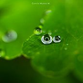 Ojos de agua. Photography, Photographic Lighting, Digital Photography, and Photographic Composition project by Camilo Muñoz Miranda - 05.11.2020