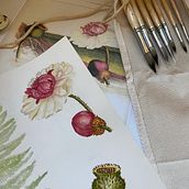 Ilustração botânica com aquarela. Un progetto di Belle arti di Maete Porto - 11.05.2020