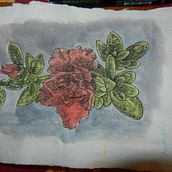 Mi Proyecto del curso: Ilustración de un diario naturalista. Un progetto di Disegno artistico, Illustrazione tradizionale e Pittura ad acquerello di Caged Art - 12.05.2020