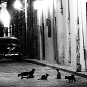 HABANA NEGRA. Fotografia artística projeto de Santiago Weksler - 10.05.2018