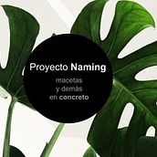 Mi Proyecto del curso: Naming: Macetas y más en concreto. . % Gabby Castro Corrales tarafından hazırlanan Sokak Sanatı, Dekoras, on, Ve İsimlendirme projesi - 05.12.2020