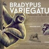 Mi Proyecto del curso: Ilustración naturalista de animales con Procreate. Sketching, Drawing, Digital Drawing, Traditional illustration, and Digital Illustration project by Miguel angel Lopez castellanos - 05.12.2020