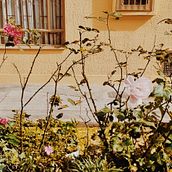 Mi Proyecto del curso: Fotografía profesional para Instagram. Een project van  Creativiteit, L y scaping van karimrodriguez5 - 13.05.2020