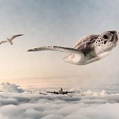 Mi Proyecto del curso: Fotomontaje surrealista con Photoshop . Collage, Concept Art, Creativit, Design, and Digital Illustration project by Sarah Chaparro - 05.13.2020