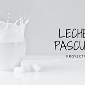 Mi Proyecto: Análisis para la mejora de Leche Pascual en comunicación.. Digital Marketing project by ralberca - 05.18.2020