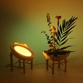 Lámpara Ikebana. Un progetto di Design, Product design e Design industriale di Léa Ferraton - 14.05.2020
