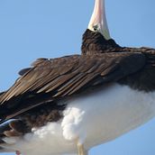 Fotos pelo mundo Ein Projekt aus dem Bereich Fotografische Komposition, Fotografie und Digitalfotografie von Luara Musse - 14.05.2020