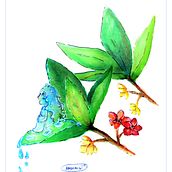 Aquarela Amandi. Un projet de Illustration traditionnelle de Marina Pantoja - 15.05.2020