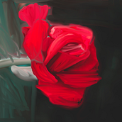 Mi Proyecto del curso: Dibujo anatómico para principiantes. Drawing project by Elizabeth Anahí Lara Flores - 05.24.2020