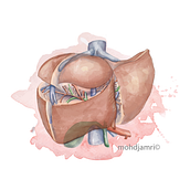 Watercolor Style Vector Illustration for a Consultant Surgeon. Digital Illustration, and Vector Illustration project by Mohd Jamri - 04.21.2021