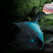Lugar perdido. Un progetto di Composizione fotografica e Graphic design di sebkgw3 - 03.07.2020