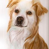 Mi Proyecto del curso: Técnicas experimentales de acuarela para principiantes  Ein Projekt aus dem Bereich Aquarellmalerei von opomi - 17.05.2020