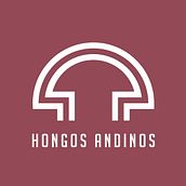 Diseño de marcas con retícula - Proyecto HA. Logo Design project by Martín Delgado - 05.28.2020