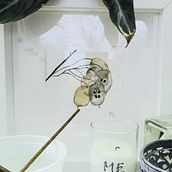 Mi Proyecto final de curso: Vela perfumada de ME. Een project van Fotografie voor Instagram van Pilar Garcia Tolosana - 18.05.2020