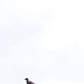 My project in Minimalist Photography for Instagram course . % David Torres tarafından hazırlanan Fotoğrafik Kompozis, on, Fotoğrafik A, dınlatma, Ve Fotoğrafçılık projesi - 05.18.2020