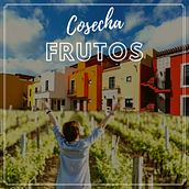 Mi Proyecto del curso: Copywriting: define el tono de tu marca personal. Social Media project by andres_moncada - 05.19.2020