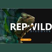 W I L D  Ein Projekt aus dem Bereich UX / UI von Emmanuel Mendez - 19.05.2020