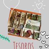 Proyecto de flores prensadas. Creativit project by ltejedoresteban - 05.20.2020