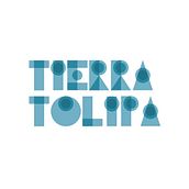 Tipología Tierra Tulipa. Lettering project by Ana Sancho - 05.01.2020