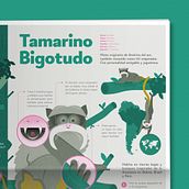 Tamarino Bigotudo. Design de informação, Ilustração tradicional, Ilustração digital e Infografia projeto de Isabel Margarita Méndez - 21.05.2020
