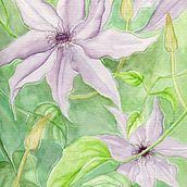 My project in Negative Watercolor Painting for Botanical Illustration course. Watercolor Painting project by Victoria Dunsmore - 05.21.2020