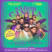 Gira Sabor Canela. Un proyecto de Diseño, Diseño gráfico, Eventos e Ilustración vectorial de Manuel Manso - 22.05.2020
