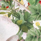 welcome. 2D Animation, and Botanical Illustration project by Kasia Sadowska - 05.24.2020