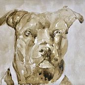 Watercolour dogs. Painting project by Gail Veasey - 05.25.2020