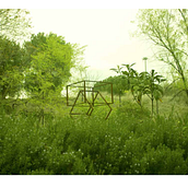 Photography: digital and analogue. Un projet de Photographie, Photographie argentique, Photographie de mode, Photographie de produits , et Photographie numérique de warrenpau - 25.05.2020