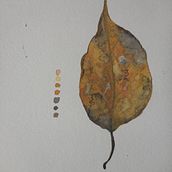 Folhas aquareladas. Fine Arts, and Watercolor Painting project by Henrique Gomes - 05.27.2020