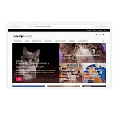 El Gato Siamés. Br, ing, Identit, Graphic Design, and Web Design project by Ramon Ubric - 05.28.2020