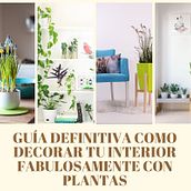 GUIA DEFINITIVA DE COMO DECORAR FABULOSAMENTE CON PLANTAS EN EL INTERIOR DEL HOGAR . % guiadisenointeriores tarafından hazırlanan Dekoras, Ve on projesi - 05.28.2020
