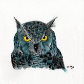 COLECCIÓN AVES  Ein Projekt aus dem Bereich Zeichnung von DARIO MORALES MALO - 28.05.2020