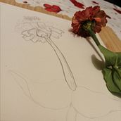 Mi Proyecto del curso: Dibujo para principiantes nivel -1. Drawing, and Pencil Drawing project by Miryan Farias - 05.29.2020
