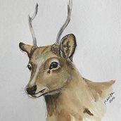 My project in Experimental Watercolor Techniques for Beginners course. Watercolor Painting project by Marisa Kalbermatten - 06.08.2020