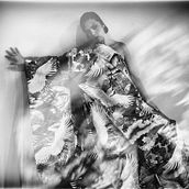 Fantasia de  crisantemo y clavel. Un proyecto de Bellas Artes, Caligrafía, Creatividad y Vídeo de hanatoro - 01.06.2020