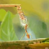 Mi Proyecto del curso: Hormiga-gota de agua. Digital Painting project by alexgilflores - 06.01.2020