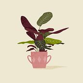 Intgarden. Un proyecto de Ilustración botánica, Ilustración digital e Ilustración vectorial de Fabiola Correas - 03.06.2020